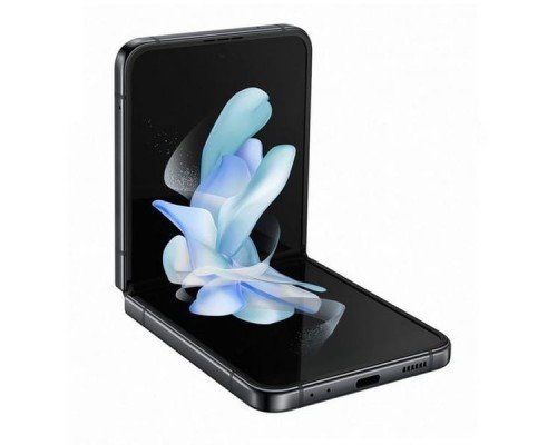 Samsung Galaxy Z Flip 4 Graphite