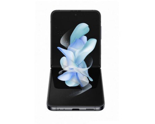 Samsung Galaxy Z Flip 4 Graphite